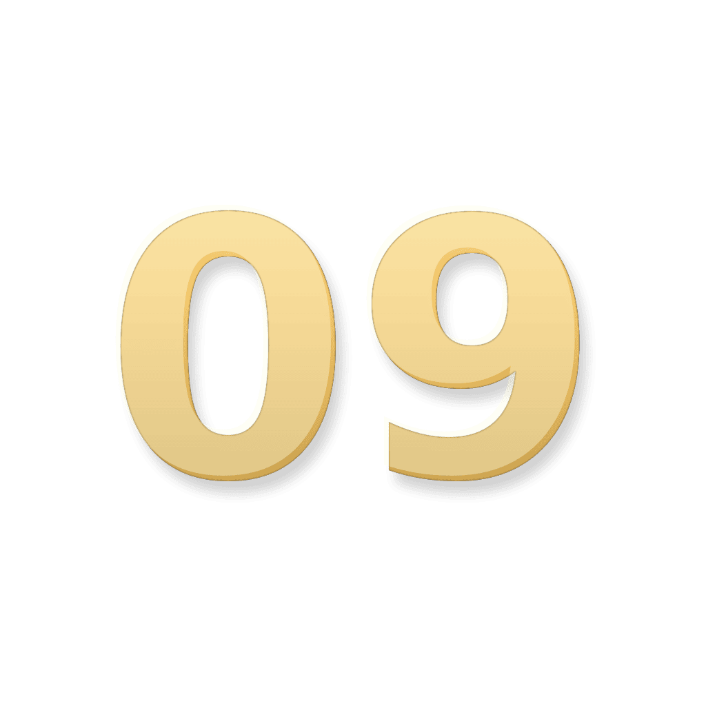 Gold 09 number marker representing the Ninth House and belief themes in Your Zodiacal Configuration.